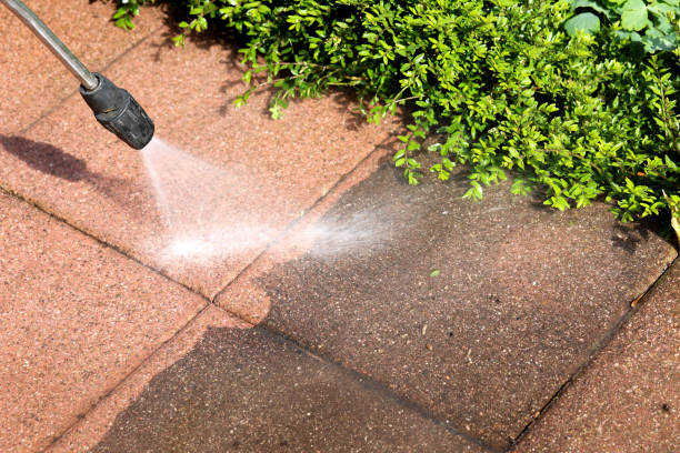 Best Roof Pressure Washing  in East Dundee, IL